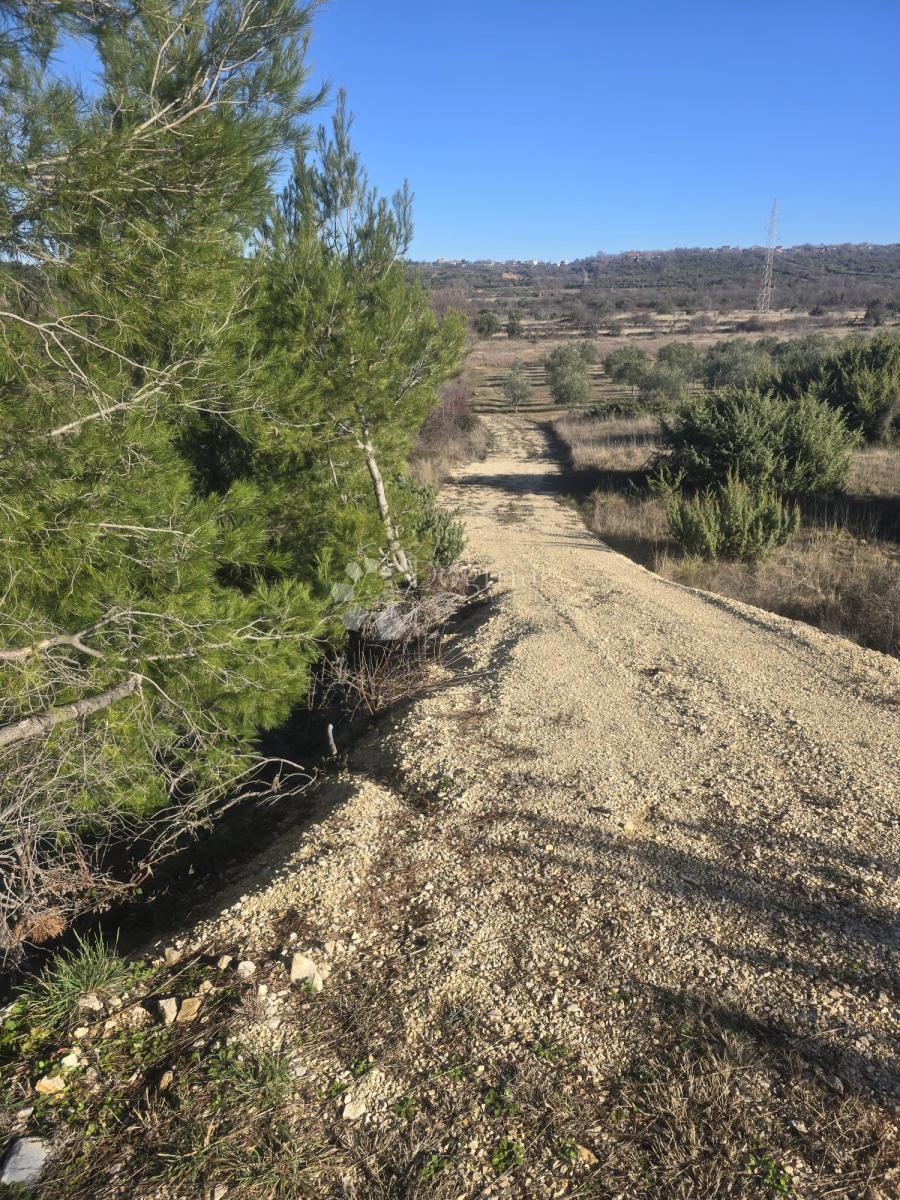 Land For sale - ZADARSKA BENKOVAC