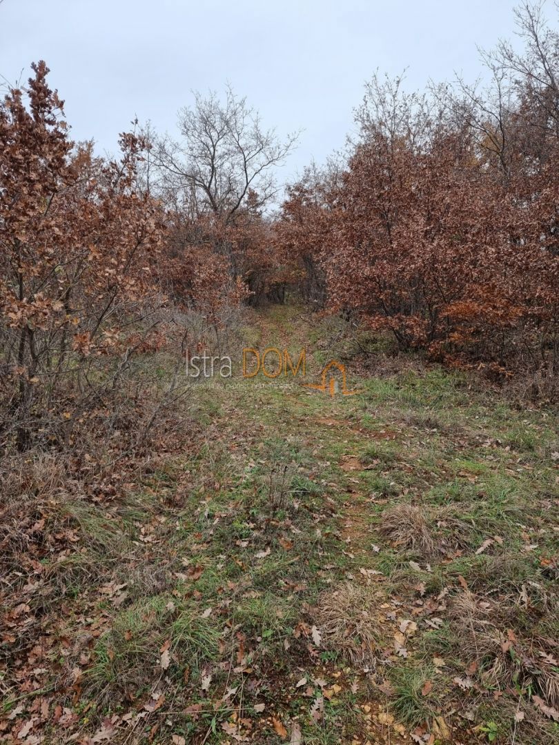 Terrain À vendre - Istarska Vodnjan - foto 1/5