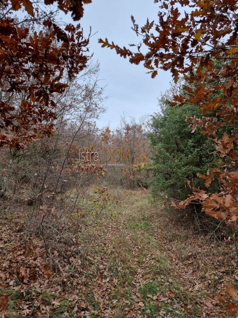 Terrain À vendre - Istarska Vodnjan - foto 4/5