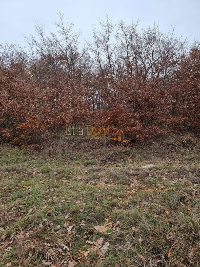 Terrain À vendre - Istarska Vodnjan - foto 5/5