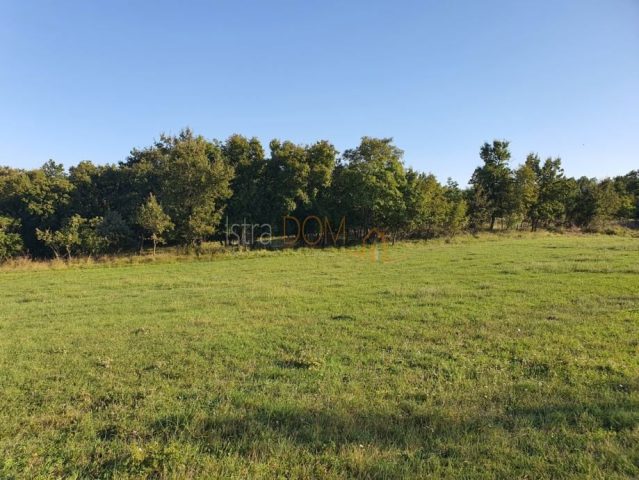 Zemljište na prodaju 7664 m² – Marčana