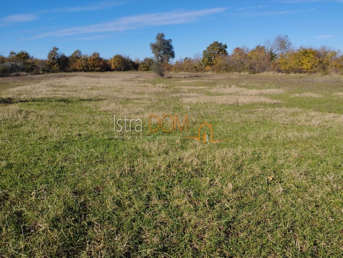 Zemljište Na prodaju - Istarska Svetvinčenat - foto 2/6