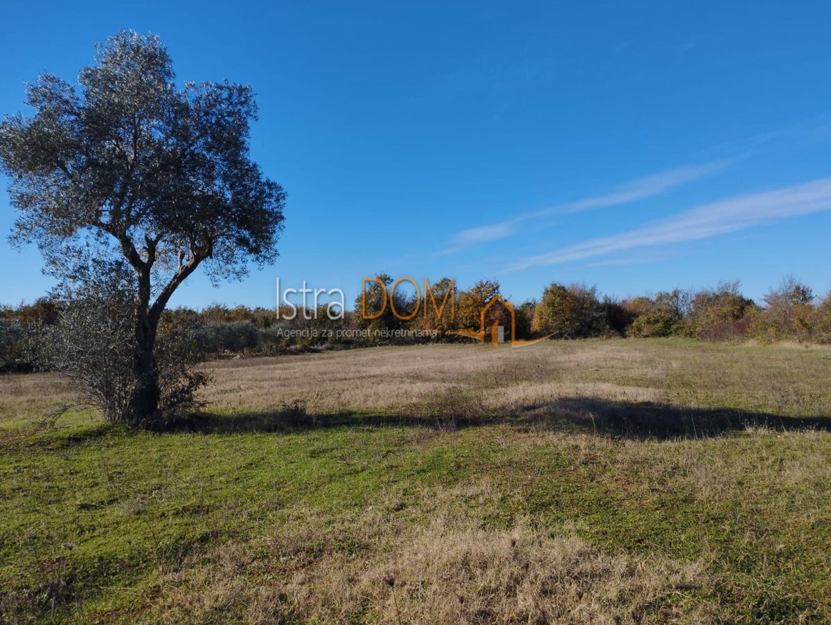Zemljište Na prodaju - Istarska Svetvinčenat - foto 3/6
