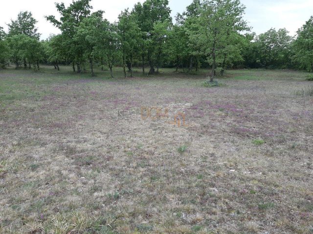 Land For sale - Istarska Svetvinčenat - foto 2/18