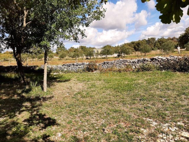 Land For sale - Istarska Svetvinčenat - foto 3/18
