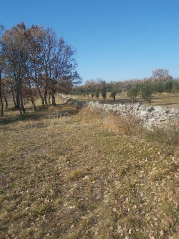 Land For sale - Istarska Svetvinčenat - foto 5/18