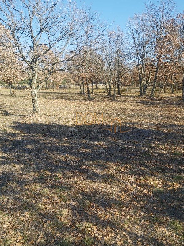 Zemljište Na prodaju - ISTARSKA SVETVINČENAT