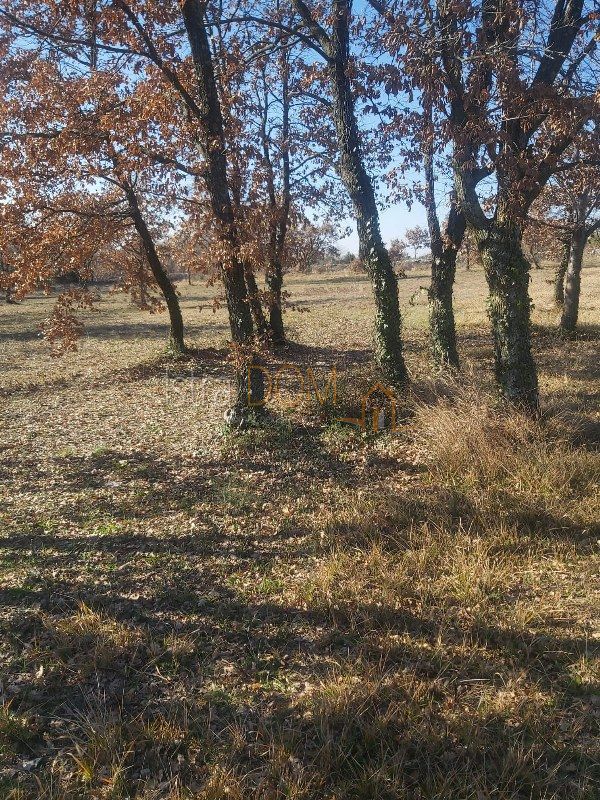 Zemljište Na prodaju - ISTARSKA SVETVINČENAT