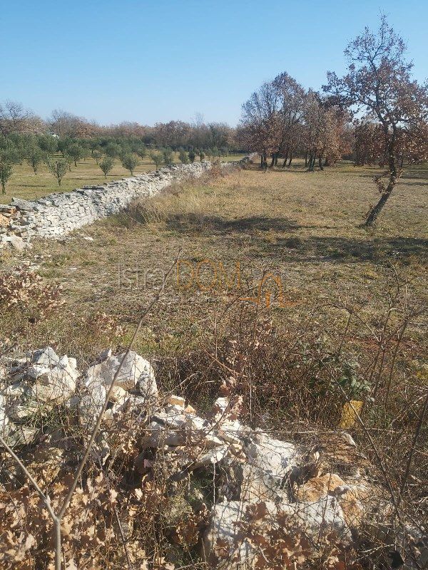Zemljište Na prodaju - ISTARSKA SVETVINČENAT