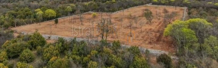 Terrain À vendre - Istarska Bale - foto 2/3