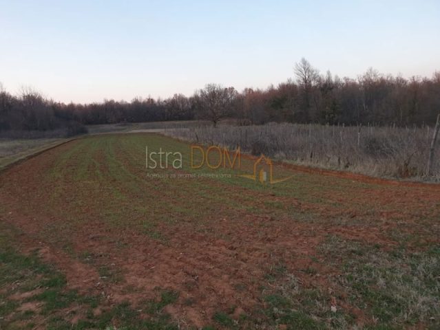Grundstück zu verkaufen 23667 m² – Barban