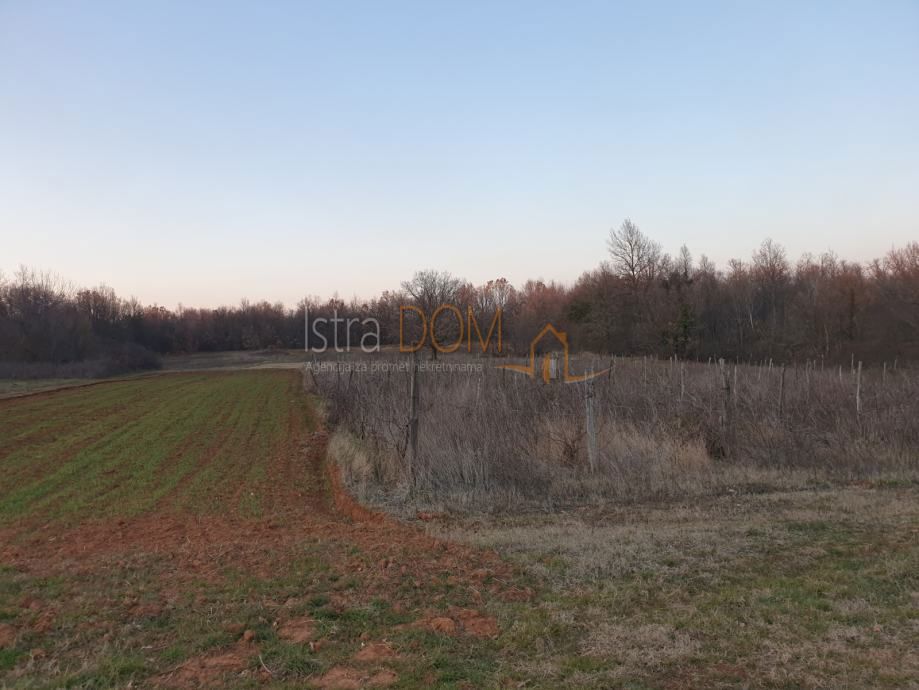 Zemljište Na prodaju - Istarska Barban - foto 3/4