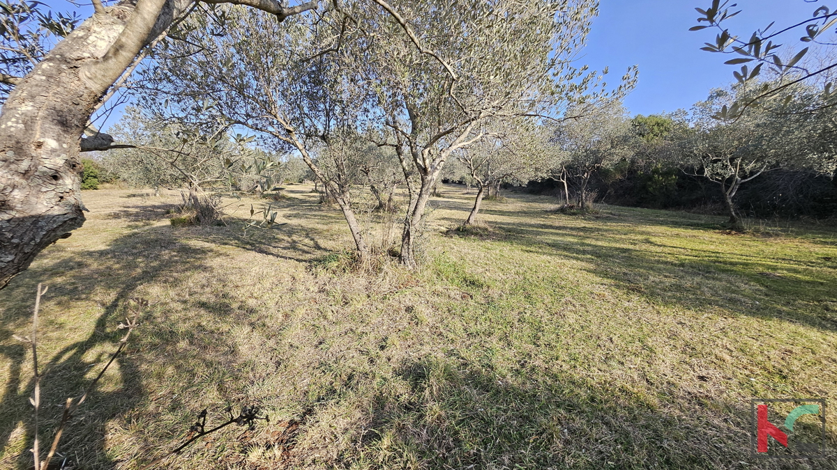 Pozemek Na prodej - Istarska Vodnjan - foto 1/6