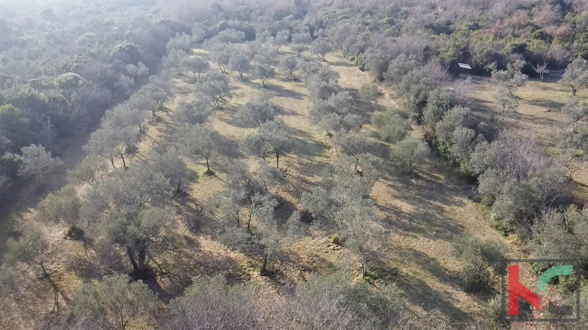 Pozemek Na prodej - ISTARSKA VODNJAN