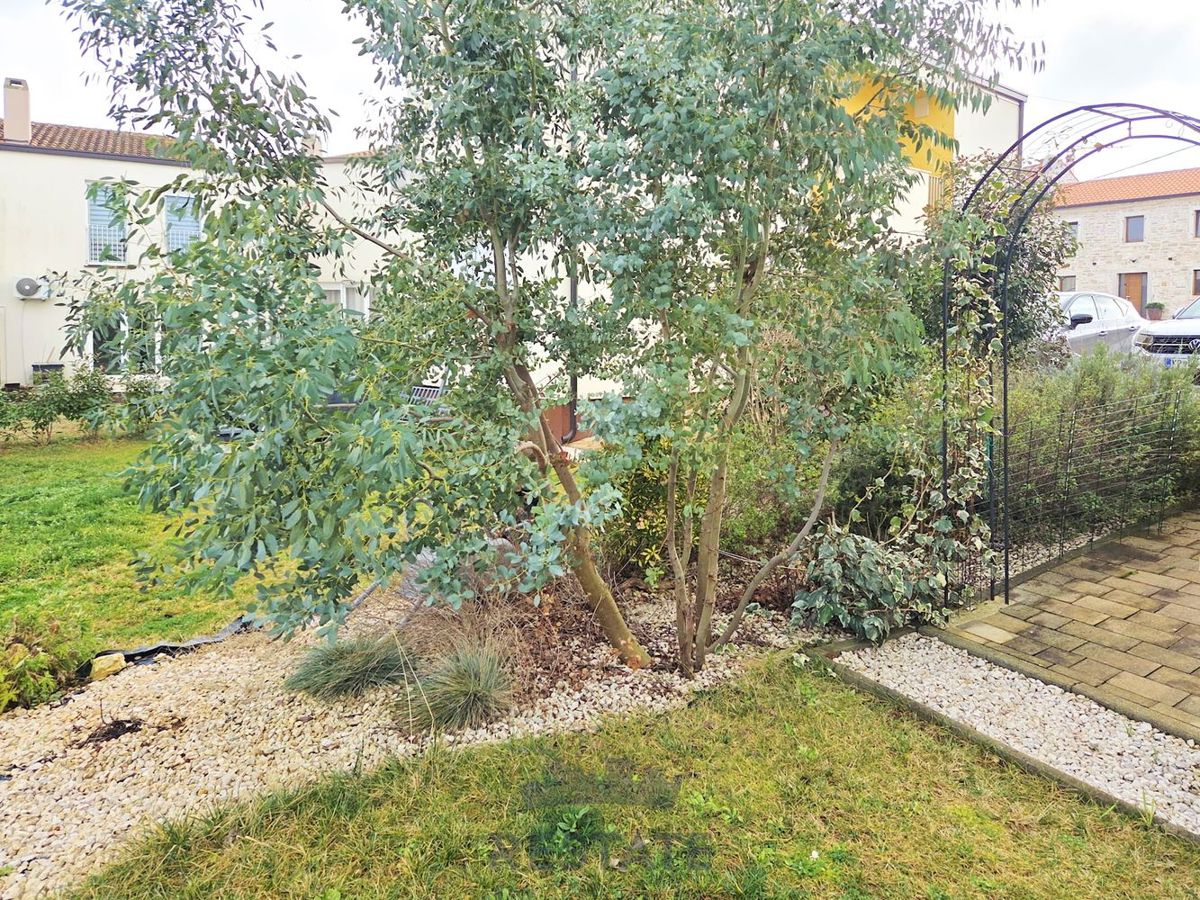 Apartmán Na prodej - ISTARSKA TAR-VABRIGA