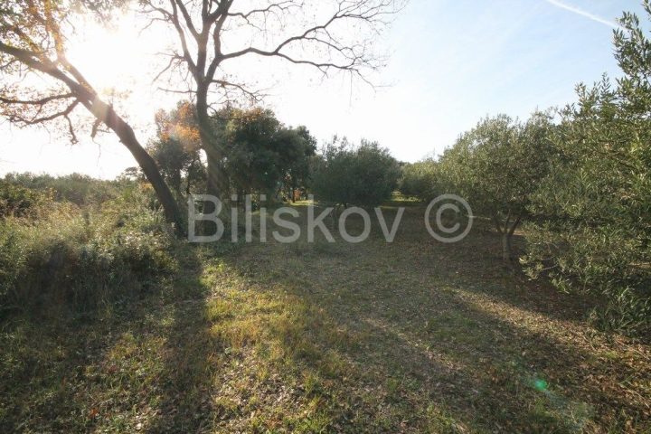 Pozemok Na predaj - Splitsko-dalmatinska Kaštela - foto 5/10