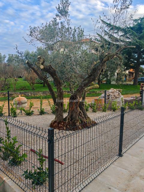 House For sale - ISTARSKA NOVIGRAD