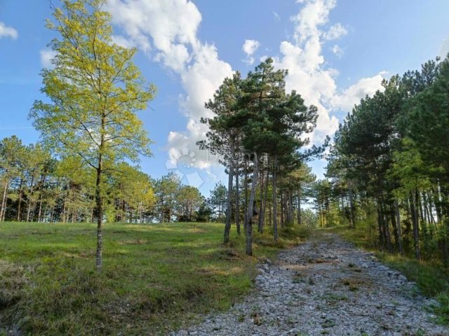 Działka Na sprzedaż - Istarska Pazin - foto 4/11