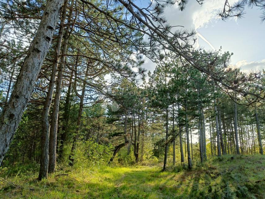Grundstück Zu verkaufen - ISTARSKA PAZIN