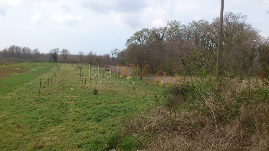 Terrain À vendre - Istarska Svetvinčenat - foto 1/2