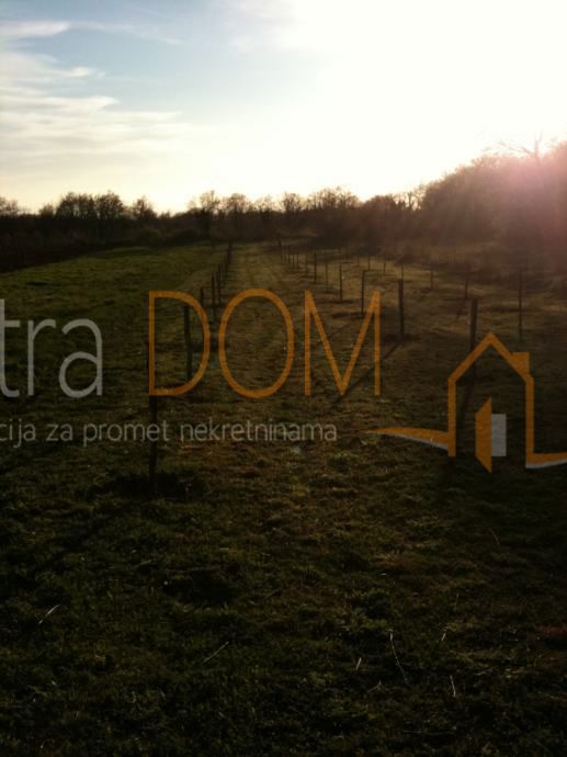 Terrain À vendre - Istarska Svetvinčenat - foto 2/2