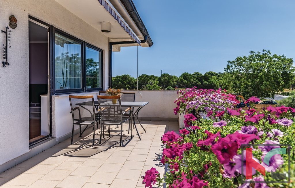 Haus Zu verkaufen - Istarska Pula - foto 3/10