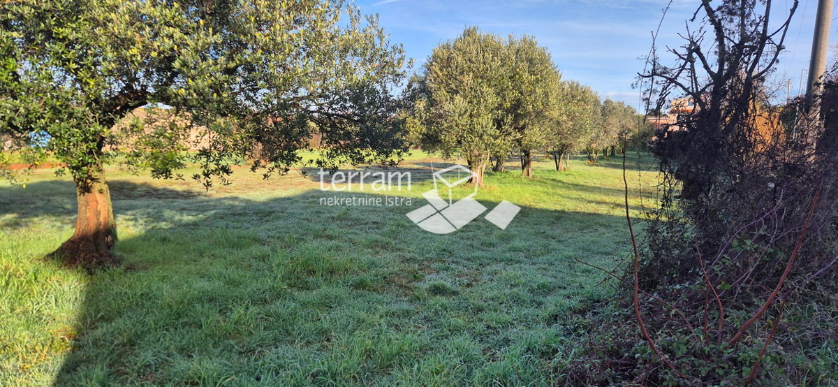 Pozemek Na prodej - Istarska Vodnjan - foto 1/5
