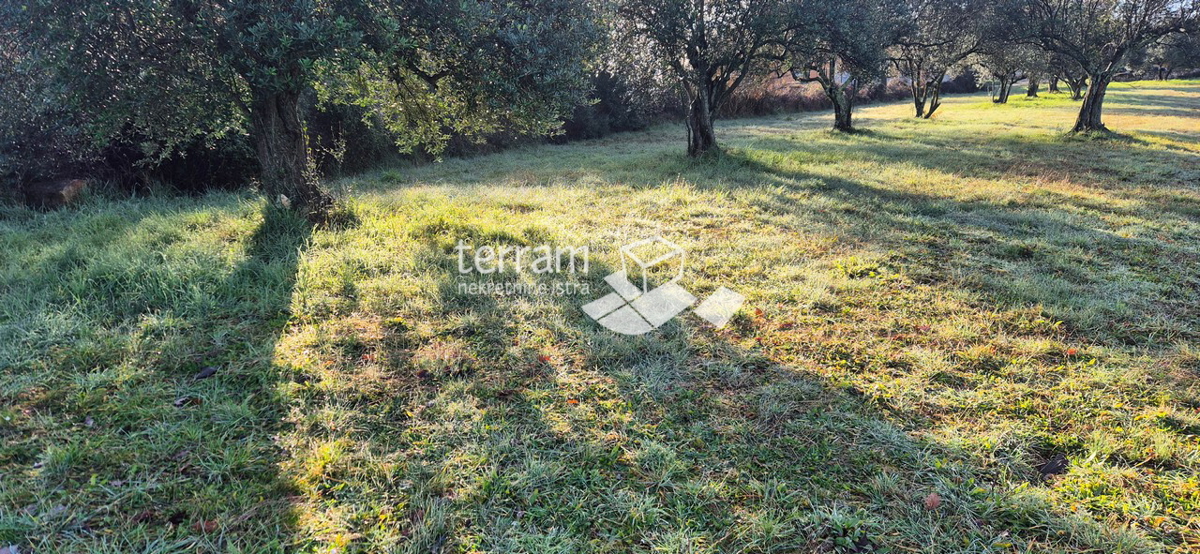 Pozemek Na prodej - Istarska Vodnjan - foto 2/5