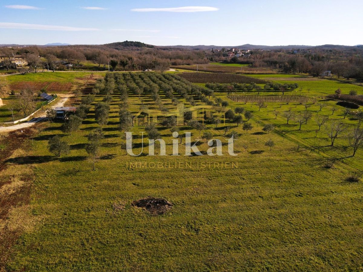 Terrain À vendre - Istarska Poreč - foto 3/5