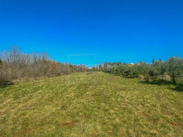 Land for sale 1250 m² – Umag