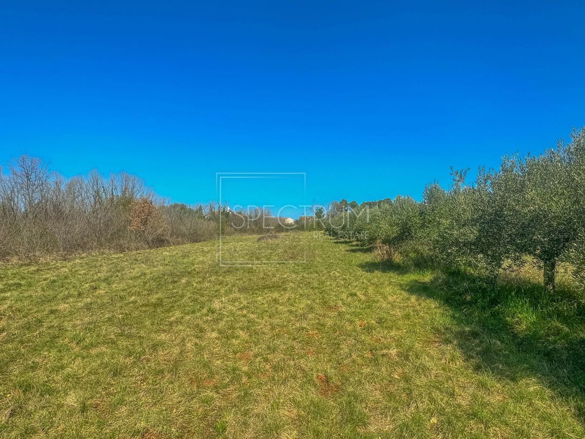 Pozemek Na prodej - ISTARSKA UMAG
