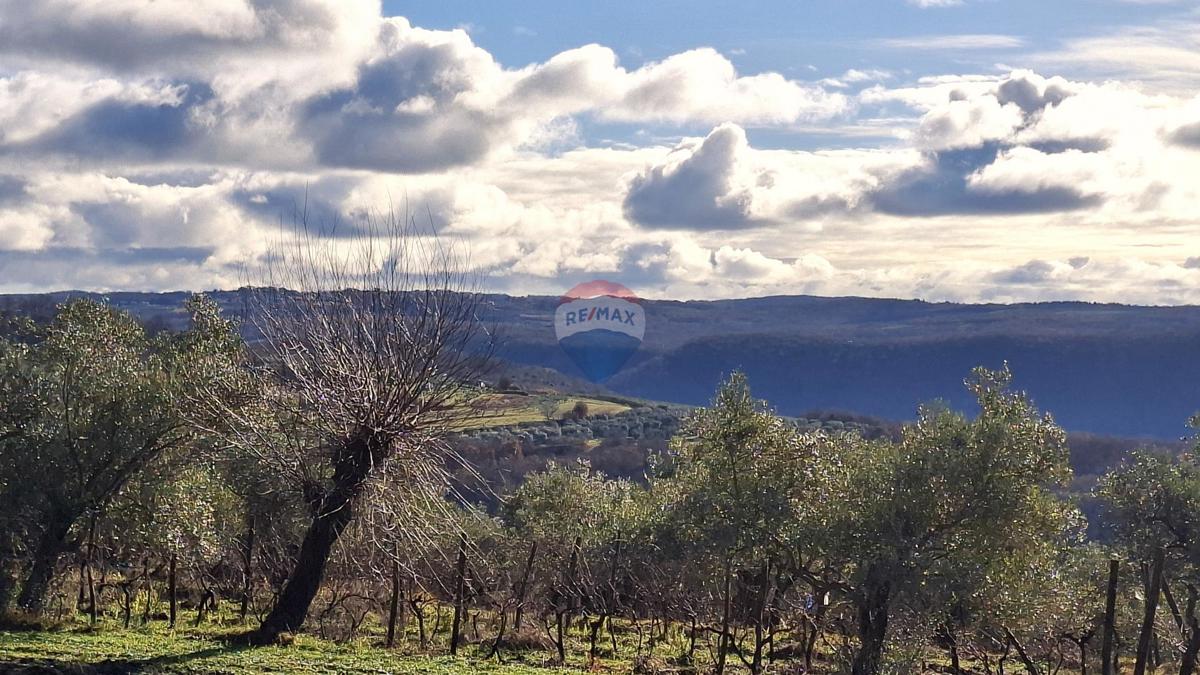 Parcela Na predaj - Istarska Buje - foto 5/5