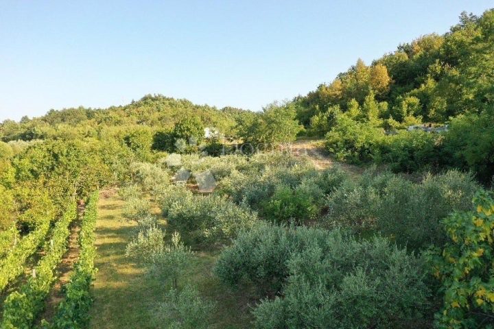 Parcela na predaj 3757 m² – Gračišće