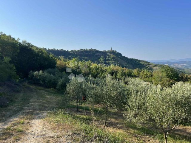 Parcela Naprodaj - Istarska Gračišće - foto 3/5
