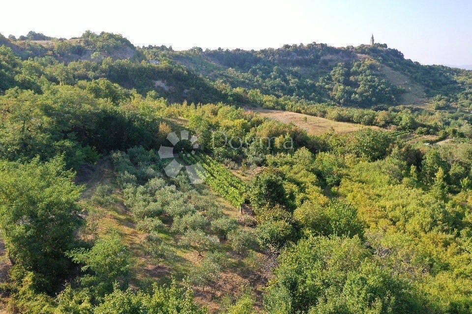 Zemljište Na prodaju - ISTARSKA GRAČIŠĆE