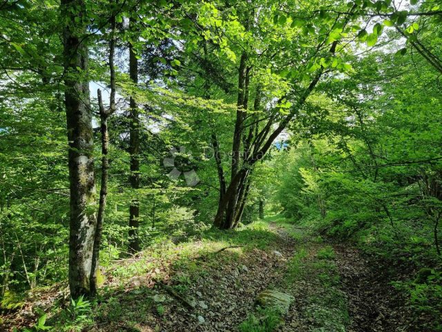 Pozemok Na predaj - Primorsko-goranska Delnice - foto 3/11