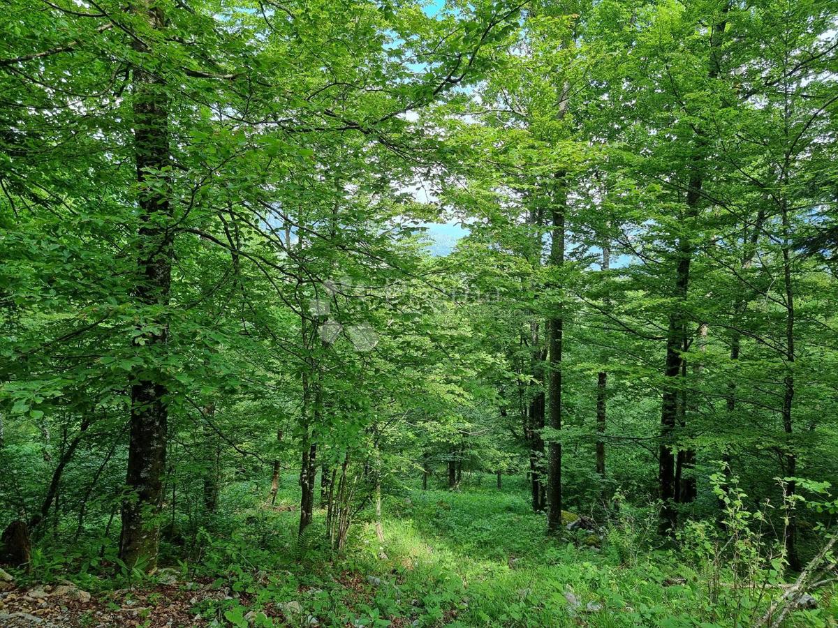 Parcela Na predaj - PRIMORSKO-GORANSKA DELNICE