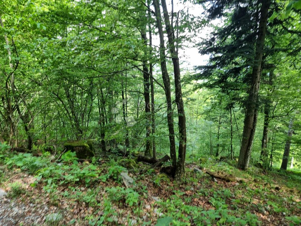 Parcela Na predaj - PRIMORSKO-GORANSKA DELNICE