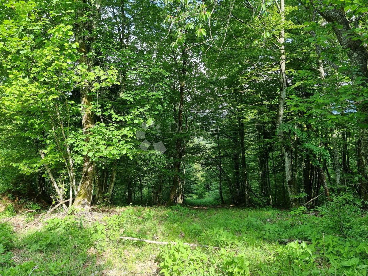 Parcela Na predaj - Primorsko-goranska Delnice - foto 2/11