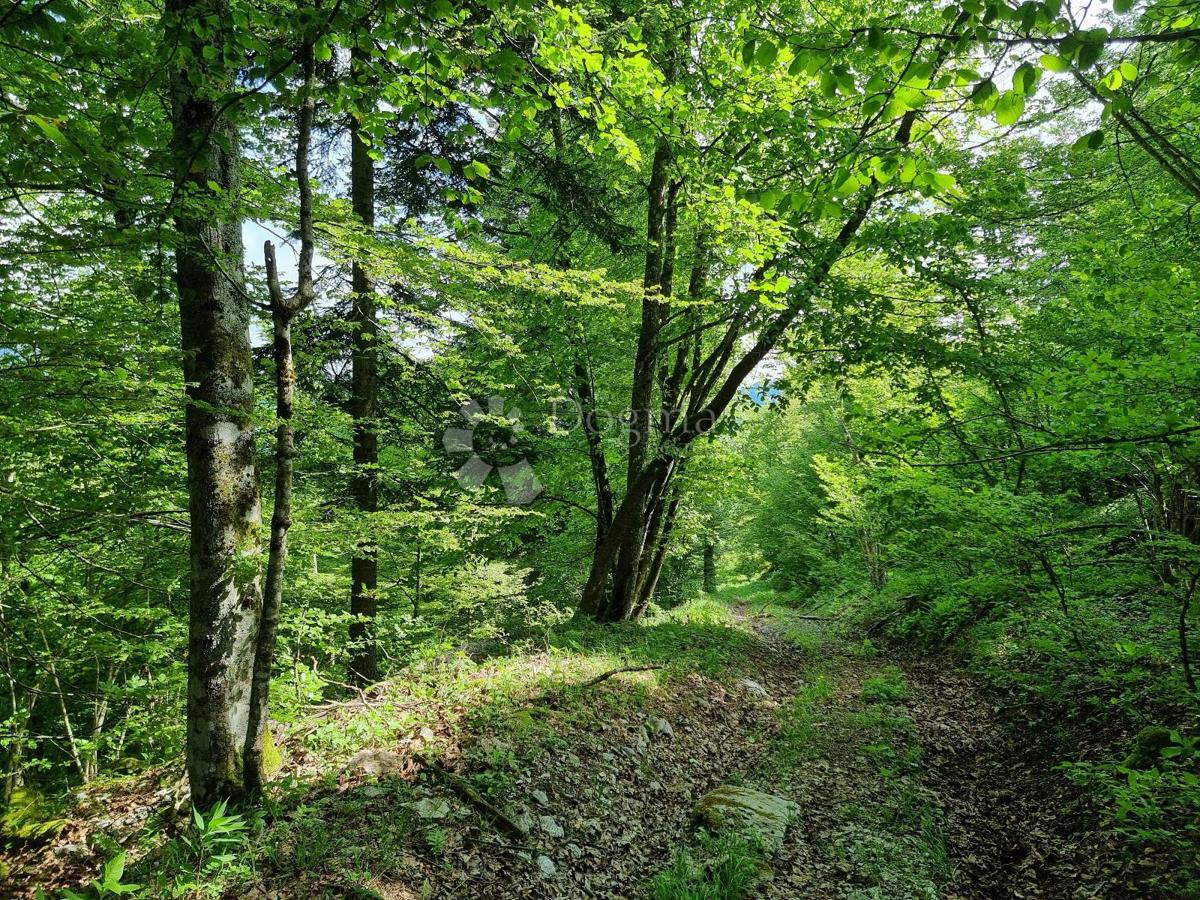 Parcela Na predaj - Primorsko-goranska Delnice - foto 3/11