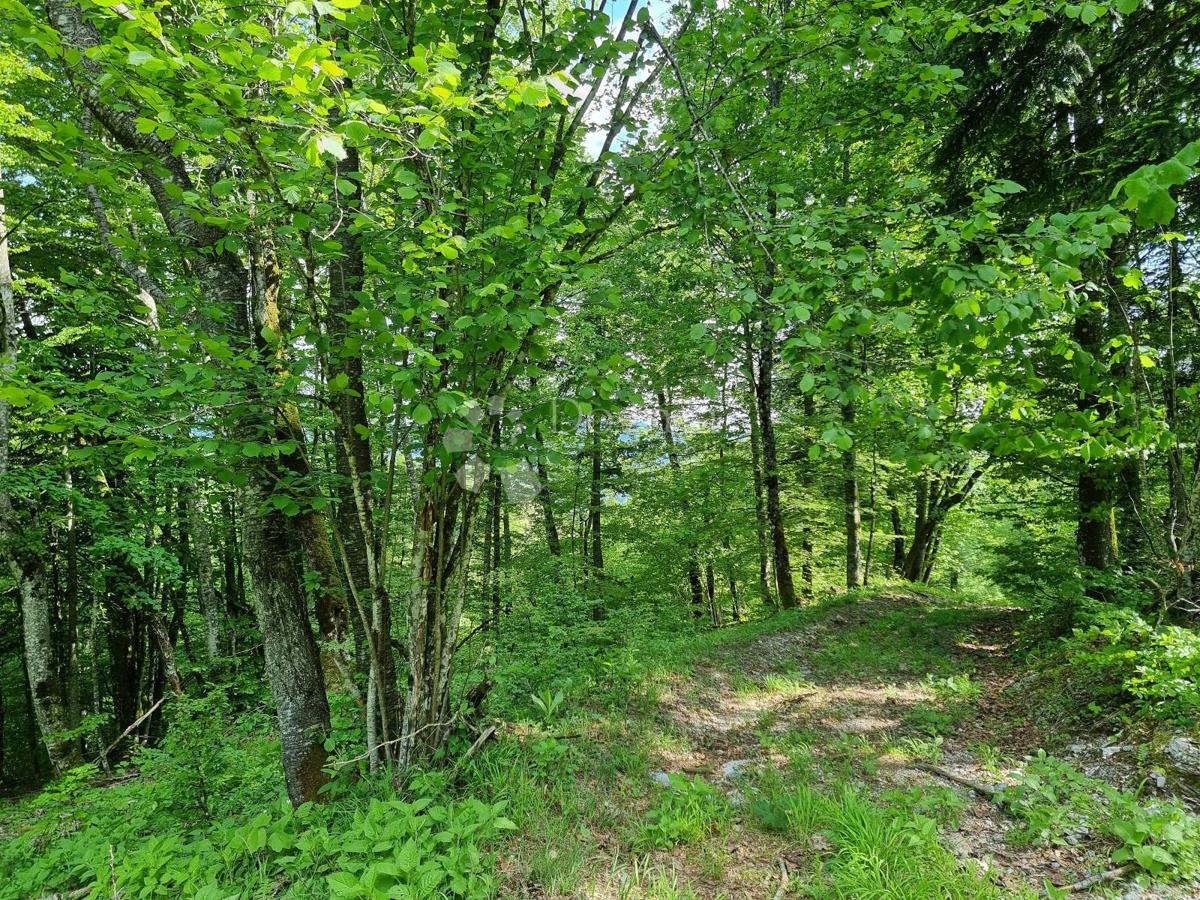 Parcela Na predaj - Primorsko-goranska Delnice - foto 4/11