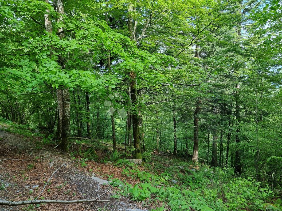Parcela Na predaj - Primorsko-goranska Delnice - foto 5/11