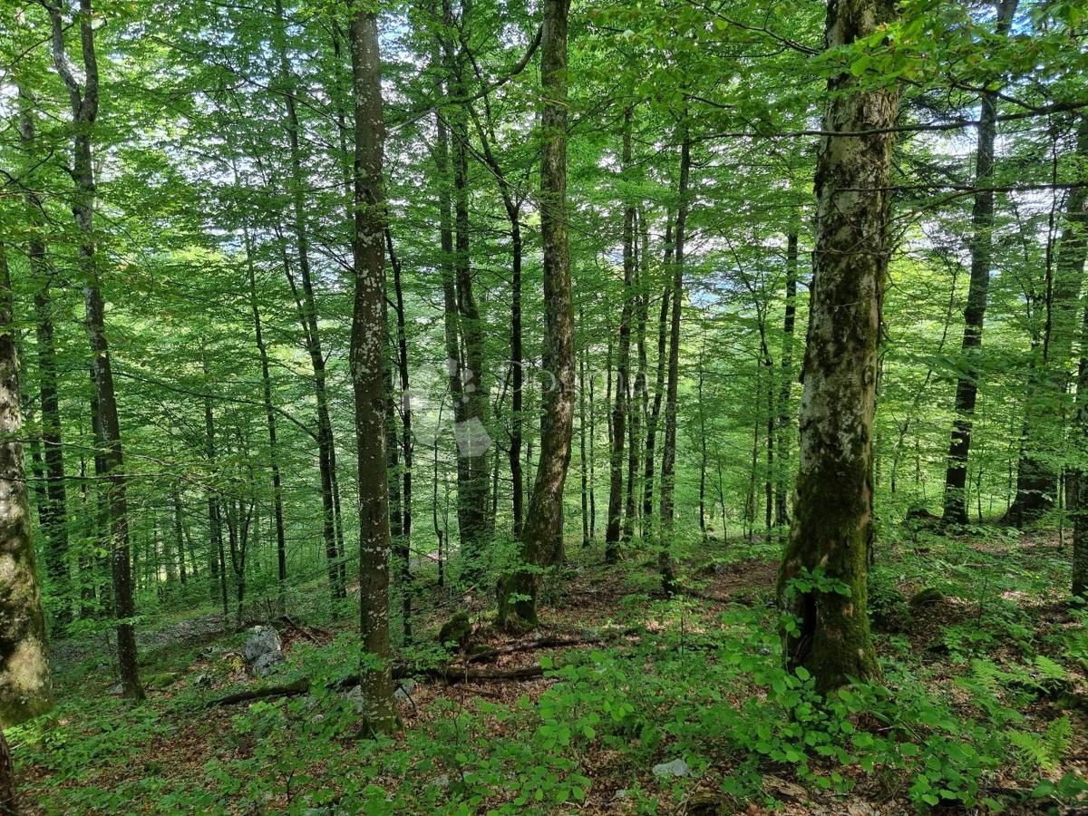Parcela Na predaj - PRIMORSKO-GORANSKA DELNICE