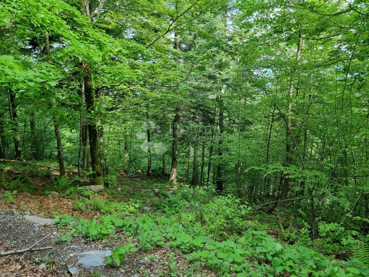 Parcela Na predaj - PRIMORSKO-GORANSKA DELNICE