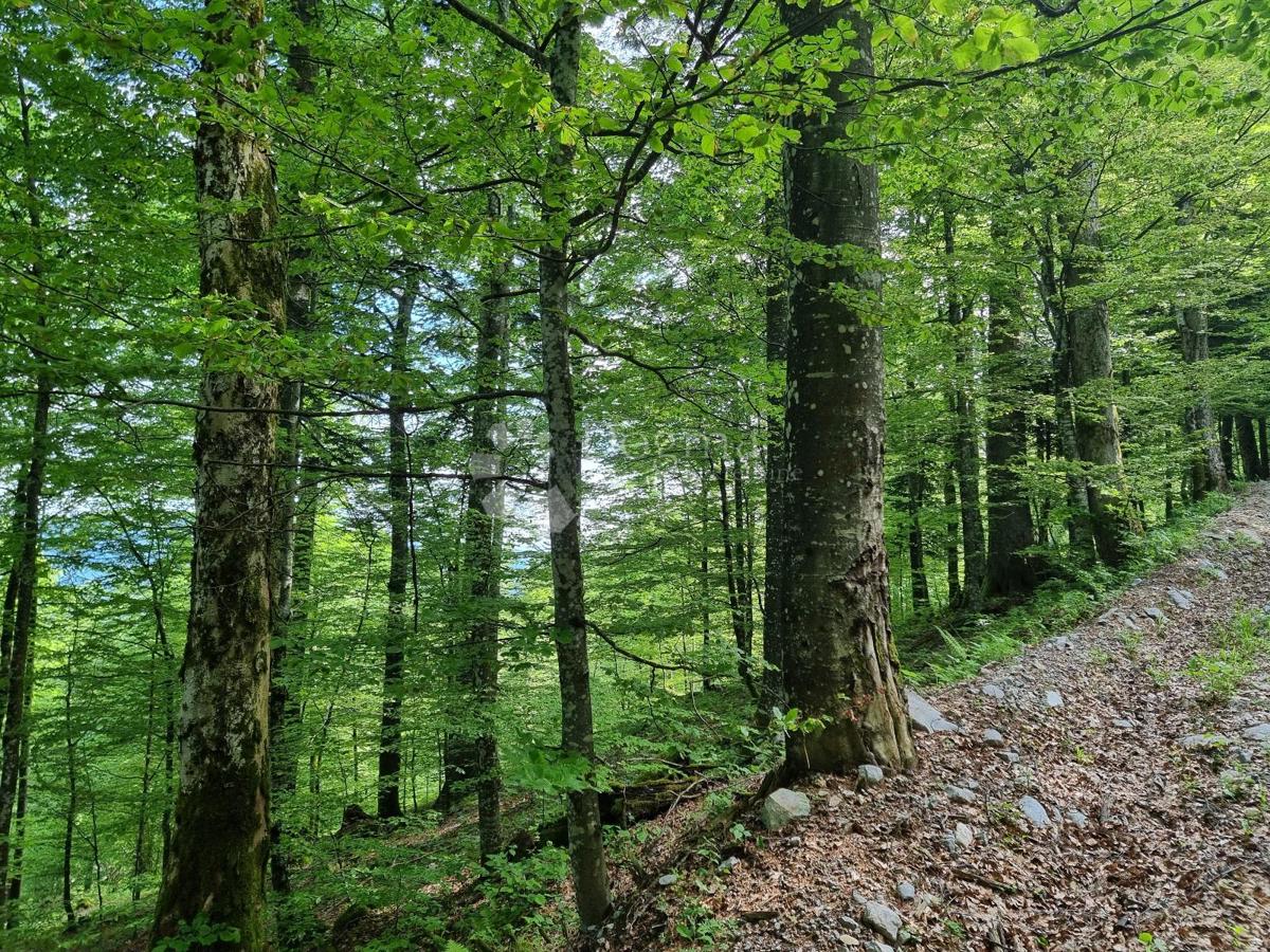 Parcela Na predaj - PRIMORSKO-GORANSKA DELNICE