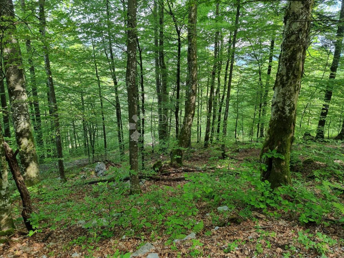 Parcela Na predaj - PRIMORSKO-GORANSKA DELNICE