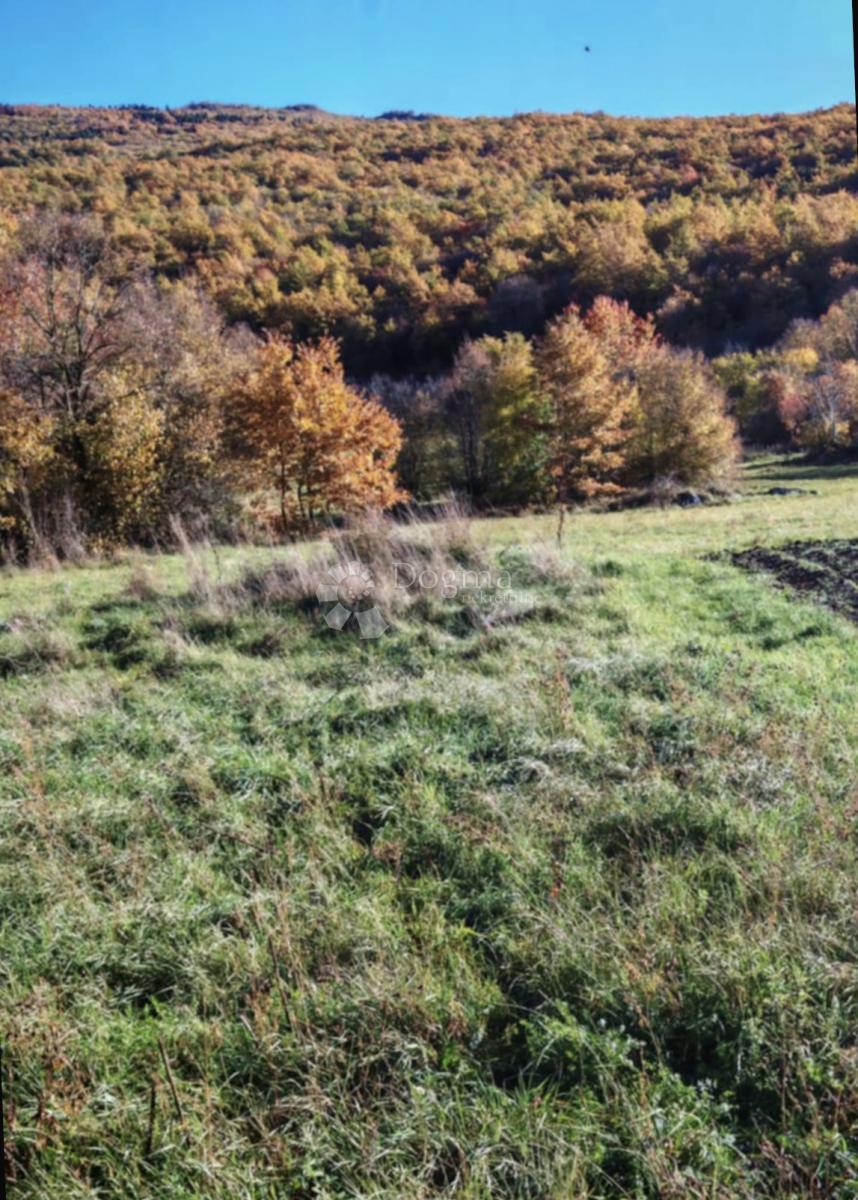 Zemljište Na prodaju - LIČKO-SENJSKA OTOČAC