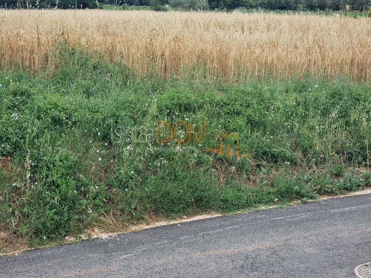 Terreno In vendita - Istarska Marčana - foto 4/4