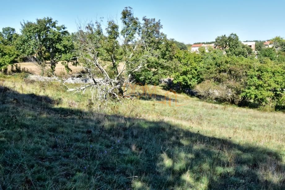 Parcela Na predaj - ISTARSKA SVETVINČENAT