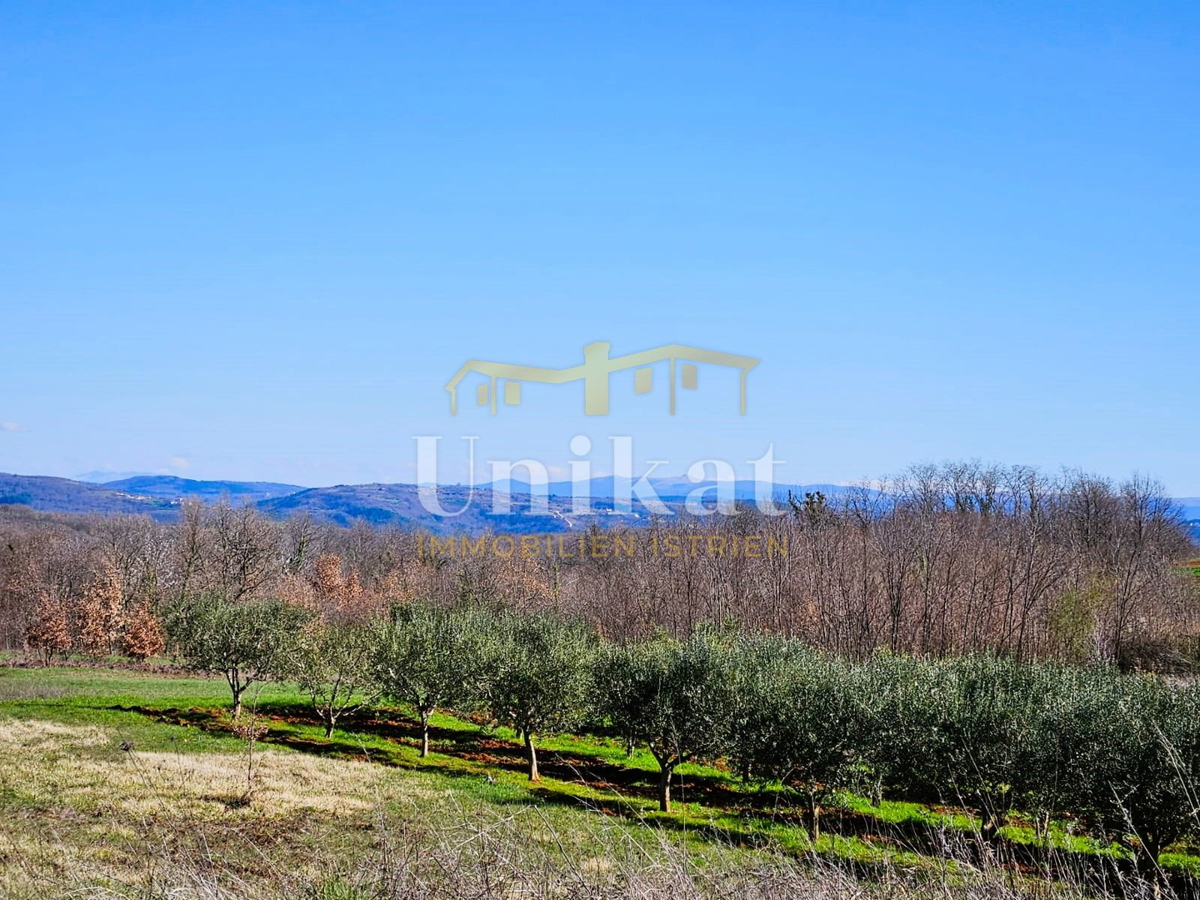 Land For sale VIŽINADA